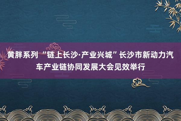 黄胖系列 “链上长沙·产业兴城”长沙市新动力汽车产业链协同发展大会见效举行