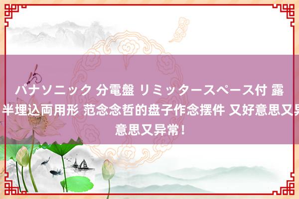 パナソニック 分電盤 リミッタースペース付 露出・半埋込両用形 范念念哲的盘子作念摆件 又好意思又异常！