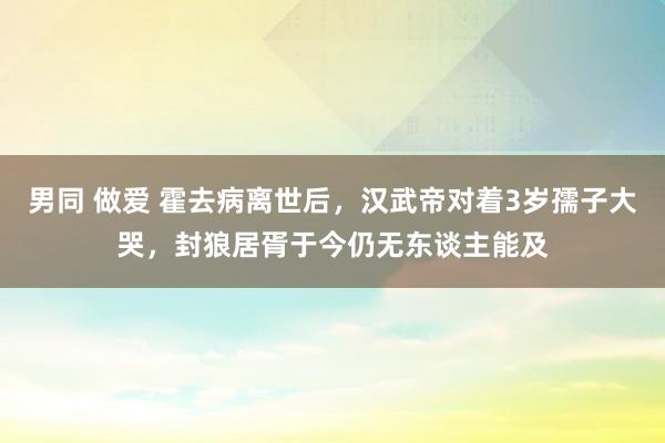 男同 做爱 霍去病离世后，汉武帝对着3岁孺子大哭，封狼居胥于今仍无东谈主能及