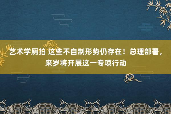 艺术学厕拍 这些不自制形势仍存在！总理部署，来岁将开展这一专项行动