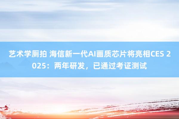 艺术学厕拍 海信新一代AI画质芯片将亮相CES 2025：两年研发，已通过考证测试