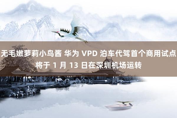 无毛嫩萝莉小鸟酱 华为 VPD 泊车代驾首个商用试点将于 1 月 13 日在深圳机场运转